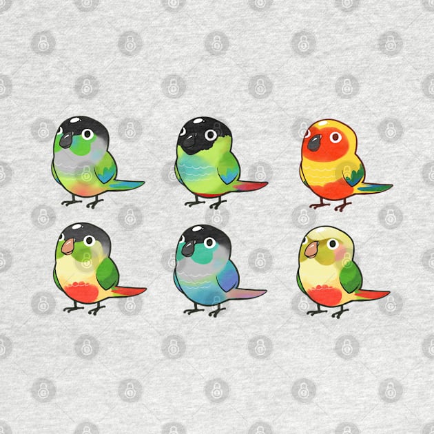 Conure Bunch by Shemii